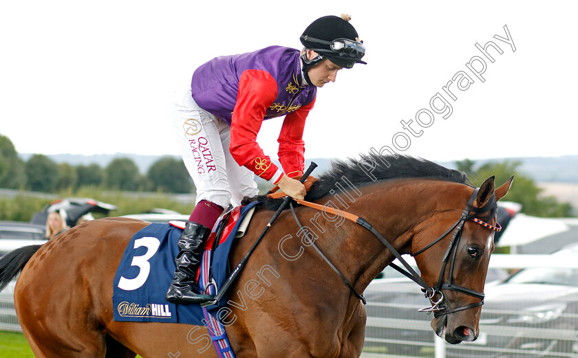 Perfect-Alibi-0001 
 PERFECT ALIBI (Cieren Fallon)
Goodwood 27 Aug 2022 - Pic Steven Cargill / Racingfotos.com