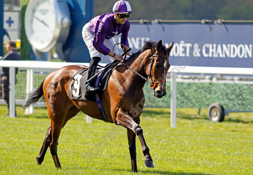 Magical-Sunset-0001 
 MAGICAL SUNSET (Kevin Stott)
Ascot 3 May 2023 - Pic Steven Cargill / Racingfotos.com