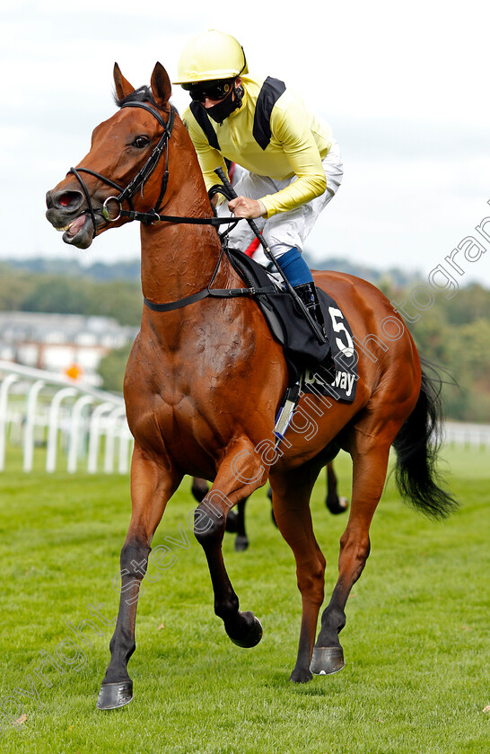 Maamora-0001 
 MAAMORA (William Buick) winner of The Betway Atalanta Stakes
Sandown 23 Aug 2020 - Pic Steven Cargill / Racingfotos.com