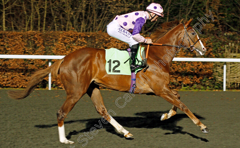 Gattaia-0001 
 GATTAIA (Oisin Murphy) Kempton 20 Dec 2017 - Pic Steven Cargill / Racingfotos.com