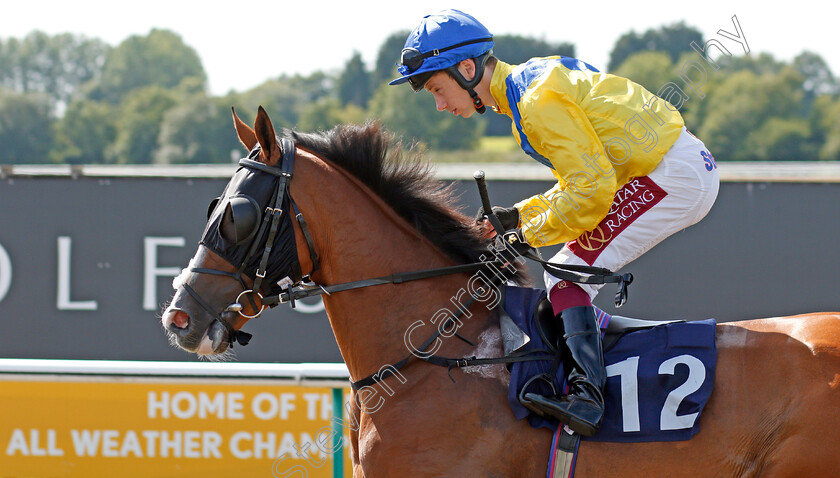 Wojood-0001 
 WOJOOD (Oisin Murphy)
Lingfield 24 Jul 2019 - Pic Steven Cargill / Racingfotos.com