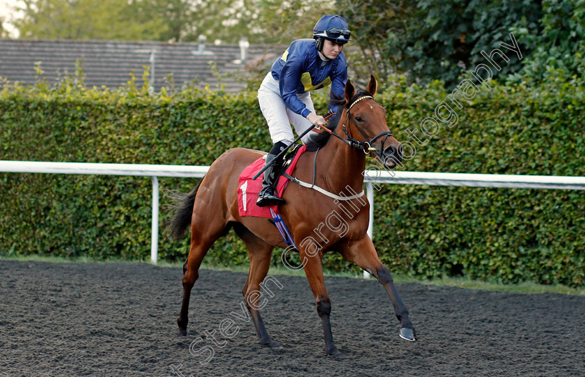 Jumbly-0001 
 JUMBLY (Saffie Osborne) winner of The Longines Irish Champions Weekend EBF Confined Fillies Novice Stakes
Kempton 3 Sep 2021 - Pic Steven Cargill / Racingfotos.com