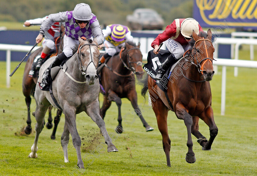 Heartache-0001 
 HEARTACHE (right, Ryan Moore) beats HAVANA GREY (left) in the Wainwrights Flying Childers Stakes Doncaster 15 Sep 2017 - Pic Steven Cargill / Racingfotos.com