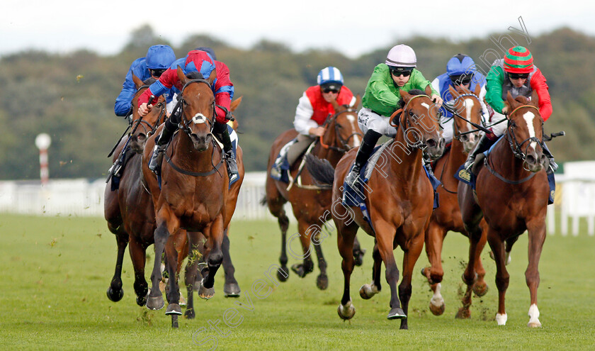 Powerful-Breeze-0003 
 POWERFUL BREEZE (left, James Doyle) beats BOOMER (centre) in The William Hill May Hill Stakes
Doncaster 12 Sep 2019 - Pic Steven Cargill / Racingfotos.com