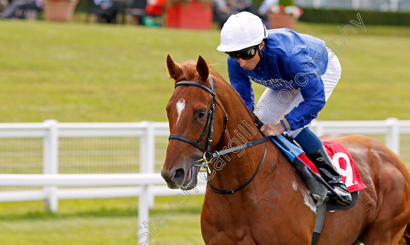 One-Nation-0001 
 ONE NATION (William Buick) winner of The Irish Stallion Farms EBF Novice Stakes
Sandown 1 Jul 2022 - Pic Steven Cargill / Racingfotos.com