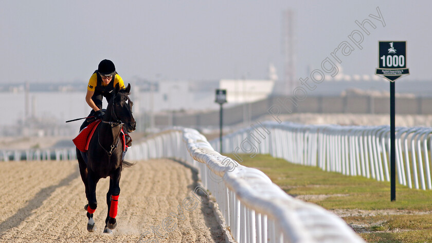 Calif-0002 
 CALIF training for the Bahrain International Trophy
Kingdom of Bahrain 14 Nov 2024 - Pic Steven Cargill / Racingfotos.com