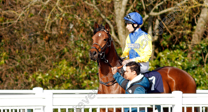 Tartarus-0001 
 TARTARUS (Luke Morris)
Lingfield 9 Mar 2022 - Pic Steven Cargill / Racingfotos.com