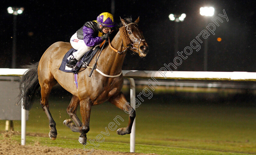 Rainbow-Dreamer-0008 
 RAINBOW DREAMER (Hollie Doyle) wins The Betway Conditions Stakes
Wolverhampton 13 Jan 2020 - Pic Steven Cargill / Racingfotos.com