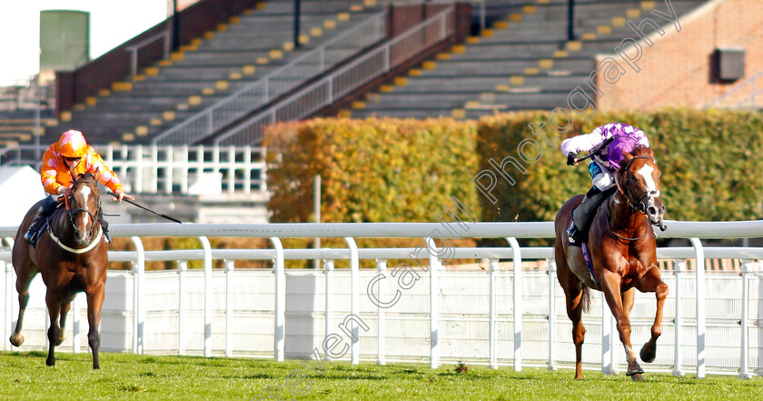 Amarillo-Star-0002 
 AMARILLO STAR (Stevie Donohoe) wins The tote.co.uk Home Of The Placepot Handicap
Goodwood 11 Oct 2020 - Pic Steven Cargill / Racingfotos.com