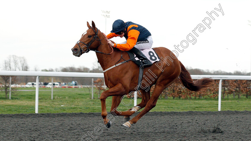 Oloroso-0005 
 OLOROSO (Joshua Bryan) wins The 100% Profit Boost At 32redsport.com Handicap
Kempton 23 Mar 2019 - Pic Steven Cargill / Racingfotos.com