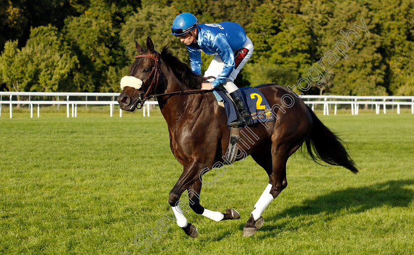 Go-On-Carlras-0002 
 GO ON CARLRAS (Nicolaj Stott)
Bro Park 17 Sep 2023 - Pic Steven Cargill / Racingfotos.com