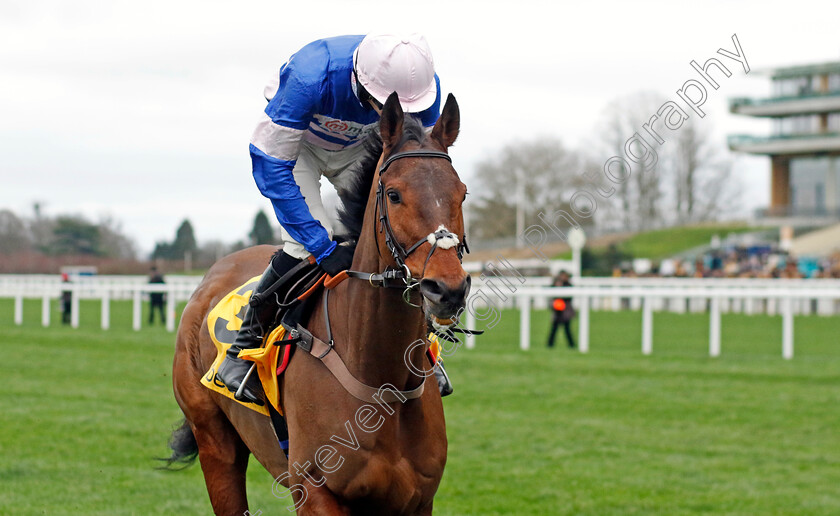 Pic-D Orhy-0007 
 PIC D'ORHY (Harry Cobden) winner of The Betfair Ascot Chase
Ascot 17 Feb 2024 - Pic Steven Cargill / Racingfotos.com