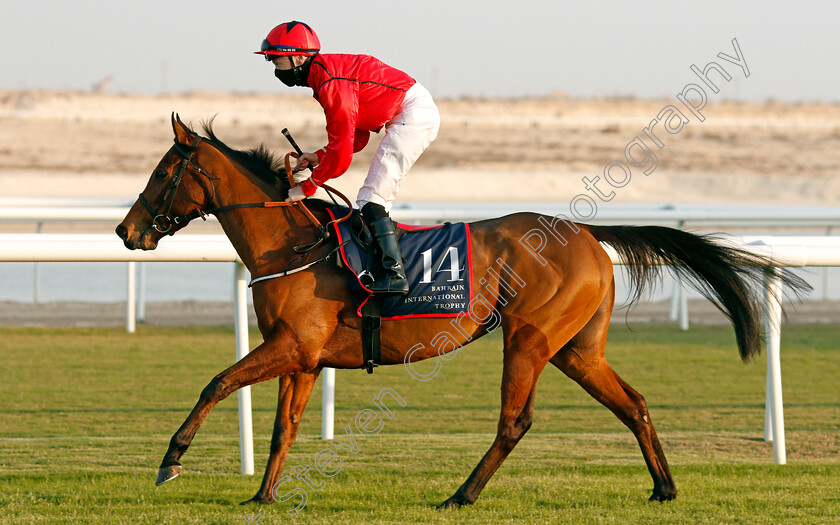 Lady-Wannabe-0001 
 LADY WANNABE (Jamie Spencer)
Bahrain 20 Nov 2020 - Pic Steven Cargill / Racingfotos.com