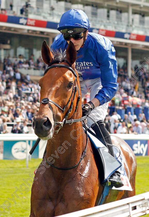 Eynhallow-0001 
 EYNHALLOW (James Doyle)
York 23 Aug 2019 - Pic Steven Cargill / Racingfotos.com