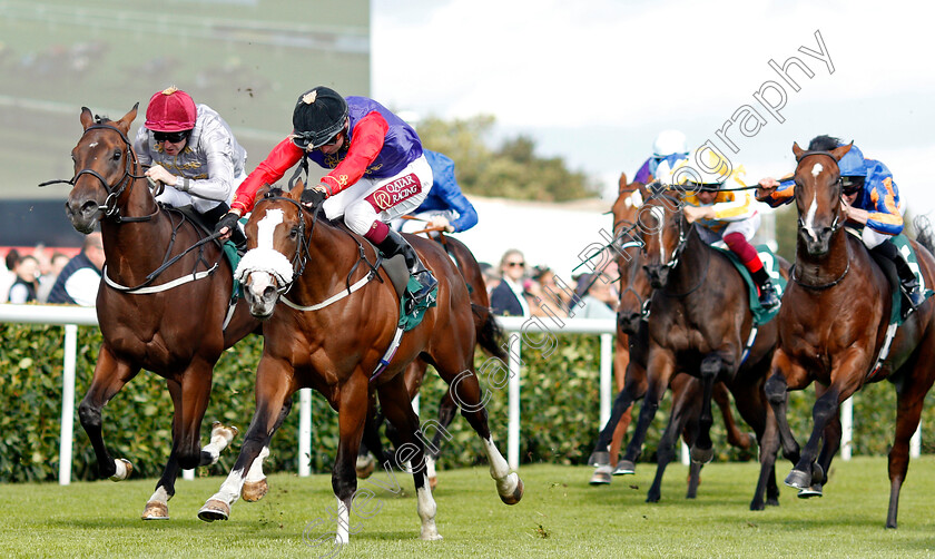 King s-Lynn-0001 
 KING'S LYNN (centre, Oisin Murphy) beats TORO STRIKE (left) in The Weatherby's Racing Bank £300,000 2-y-o Stakes
Doncaster 12 Sep 2019 - Pic Steven Cargill / Racingfotos.com