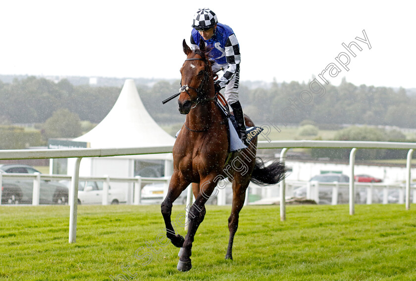 Mascapone-0001 
 MASCAPONE (Jamie Spencer)
Sandown 15 Jun 2024 - Pic Steven Cargill / Racingfotos.com