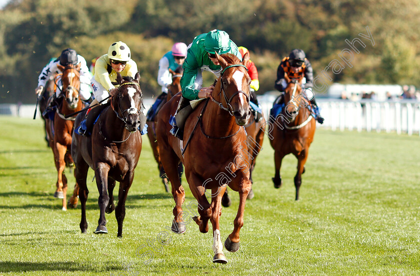 Senza-Limiti-0005 
 SENZA LIMITI (James Doyle) wins The Radcliffe & Co EBF Novice Stakes Div1
Salisbury 3 Oct 2018 - Pic Steven Cargill / Racingfotos.com