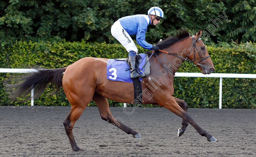 Edaraat-0001 
 EDARAAT (Jim Crowley) before The 32Red Casino Handicap Div2
Kempton 10 Jul 2019 - Pic Steven Cargill / Racingfotos.com