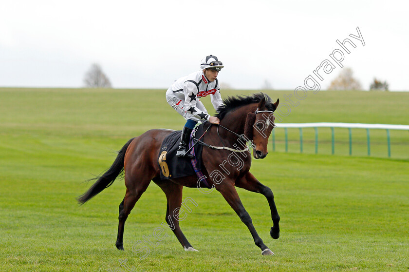 Eldrickjones 
 ELDRICKJONES (Rowan Scott)
Newmarket 29 Oct 2021 - Pic Steven Cargill / Racingfotos.com