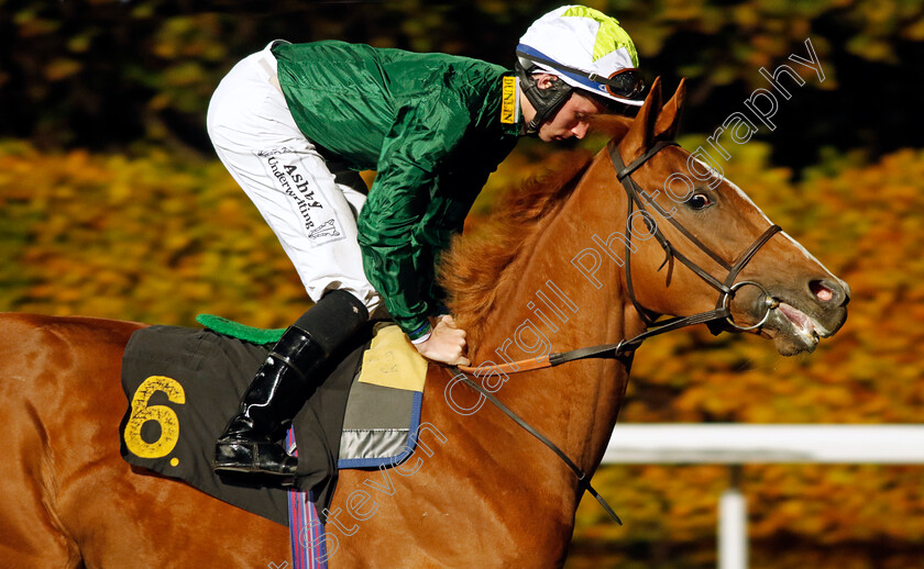 Green-Keeper-0001 
 GREEN KEEPER (Rossa Ryan)
Kempton 15 Nov 2023 - Pic Steven Cargill / Racingfotos.com