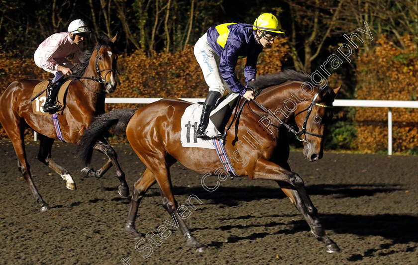 Noble-Horizon-0002 
 NOBLE HORIZON (Richard Kingscote)
Kempton 4 Dec 2024 - Pic Steven Cargill / Racingfotos.com