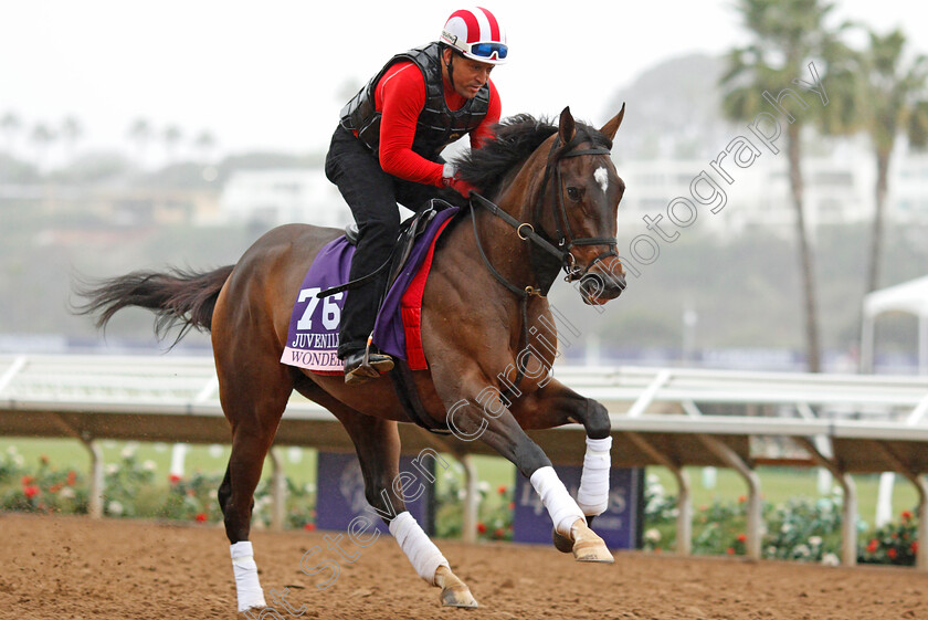 Wonder-Gadot-0001 
 WONDER GADOT training for The Breeders' Cup Juvenile Fillies at Del Mar USA 31 Oct 2017 - Pic Steven Cargill / Racingfotos.com