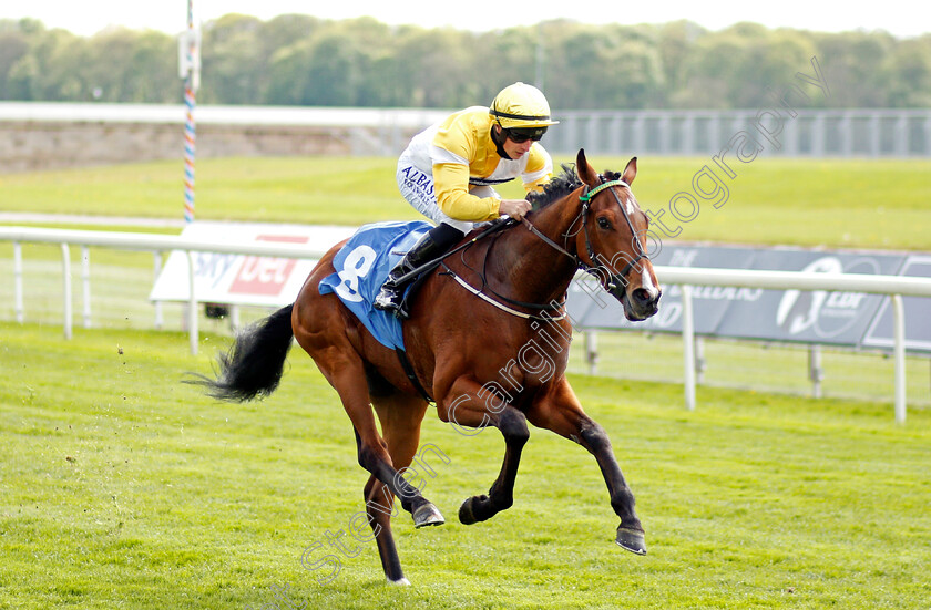 Wobwobwob-0004 
 WOBWOBWOB (Tom Marquand) wins The Sky Bet Handicap
York 12 May 2021 - Pic Steven Cargill / Racingfotos.com