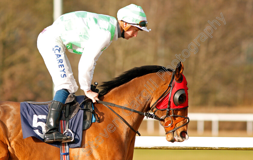 Griggy-0001 
 GRIGGY (Joey Haynes)
Wolverhampton 3 Jan 2020 - Pic Steven Cargill / Racingfotos.com