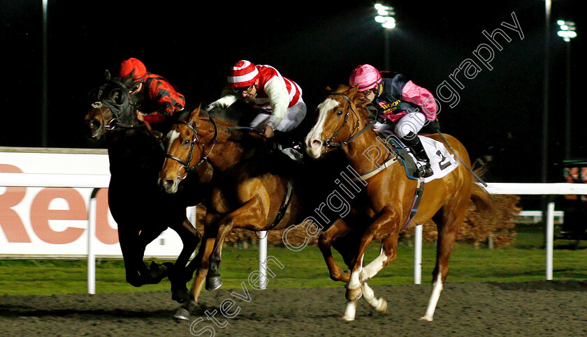 Brains-0001 
 BRAINS (left, Nicola Currie) beats HEATHERDOWN (centre) and LEE ROY (right) in The Introducing Racing TV Handicap
Kempton 5 Jan 2019 - Pic Steven Cargill / Racingfotos.com