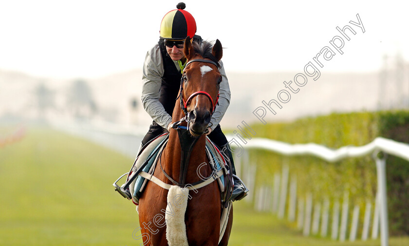 Coolagh-Forest-0006 
 COOLAGH FOREST (John Egan) training for the Bahrain International Trophy
Rashid Equestrian & Horseracing Club, Bahrain, 18 Nov 2020