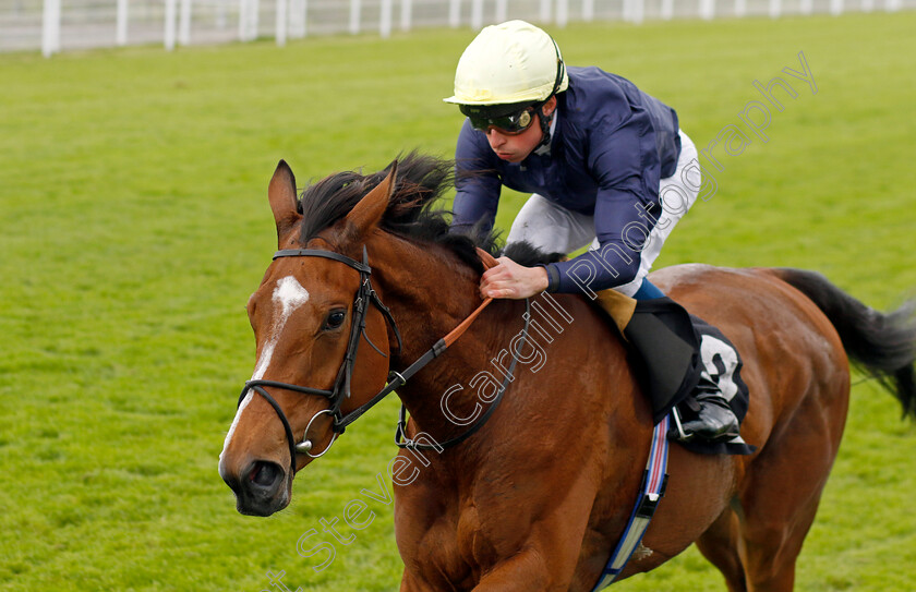 Crystal-Estrella-0005 
 CRYSTAL ESTRELLA (William Buick) wins The British EBF Fillies Restricted Novice Stakes
Goodwood 20 May 2022 - Pic Steven Cargill / Racingfotos.com