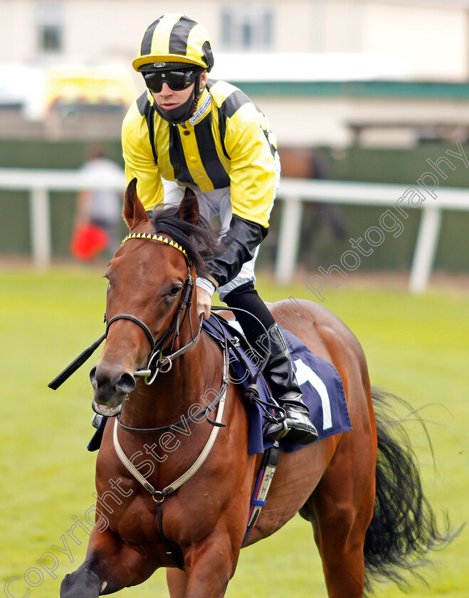 Soldier-Lions-0001 
 SOLDIER LIONS (Charles Bishop)
Yarmouth 22 Jul 2020 - Pic Steven Cargill / Racingfotos.com