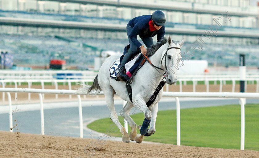 Batwan-0002 
 BATWAN training at the Dubai Racing Carnival 
Meydan 2 Jan 2025 - Pic Steven Cargill / Racingfotos.com