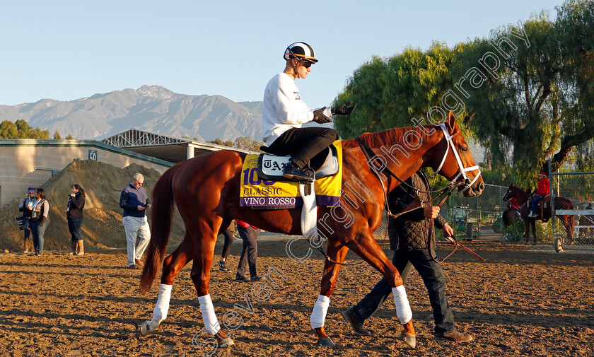 Vino-Rosso-0001 
 VINO ROSSO training for The Breeders' Cup Classic
Santa Anita USA 31 Oct 2019 - Pic Steven Cargill / Racingfotos.com