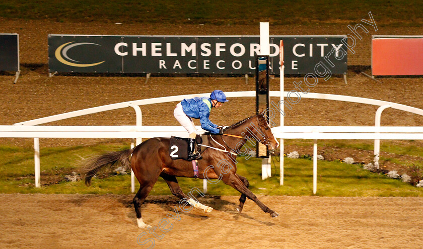 Bavardages-0004 
 BAVARDAGES (Joe Fanning) wins The Bet totequadpot At totesport.com Nursery
Chelmsford 19 Nov 2019 - Pic Steven Cargill / Racingfotos.com