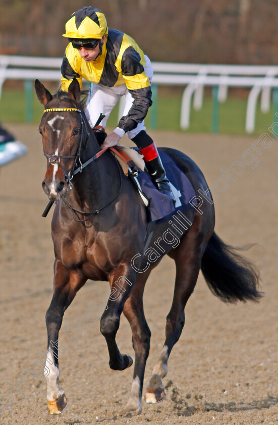 Island-Hideaway-0001 
 ISLAND HIDEAWAY (Shane Kelly) winner of The Ladbrokes Home Of The Odds Boost Maiden Fillies Stakes
Lingfield 9 Dec 2019 - Pic Steven Cargill / Racingfotos.com