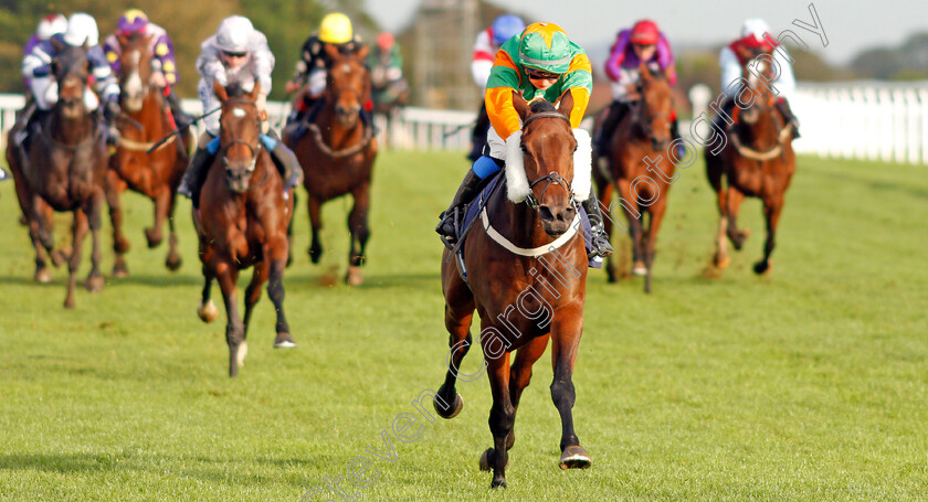 Gamesters-Icon-0005 
 GAMESTERS ICON (Megan Nicholls) wins The Nailsea Electrical Kitchen And Appliance Fillies Handicap
Bath 16 Oct 2019 - Pic Steven Cargill / Racingfotos.com