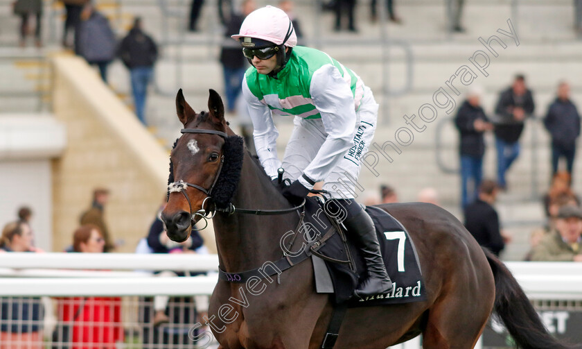 Bob-Bob-Ricard-0001 
 BOB BOB RICARD (Jonjo O'Neill)
Cheltenham 17 Nov 2024 - Pic Steven Cargill / Racingfotos.com