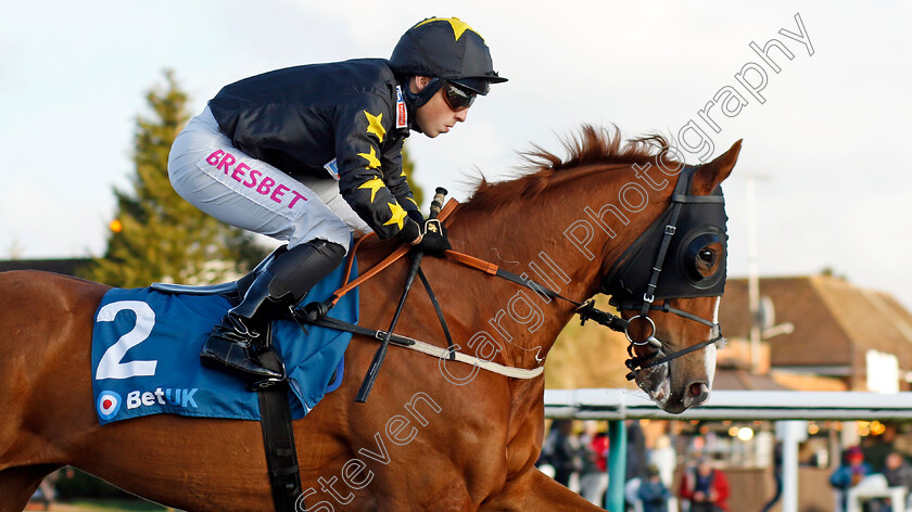 Tarbaan-0001 
 TARBAAN (Frederick Larson)
Lingfield 21 Jan 2023 - Pic Steven Cargill / Racingfotos.com