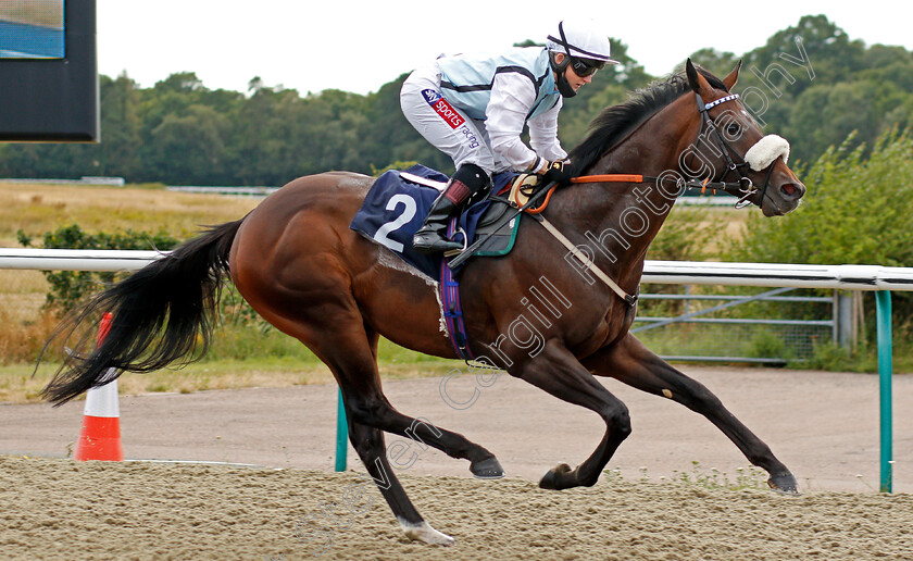 The-Perfect-Crown-0007 
 THE PERFECT CROWN (Hollie Doyle) wins The Betway Novice Stakes
Lingfield 4 Aug 2020 - Pic Steven Cargill / Racingfotos.com