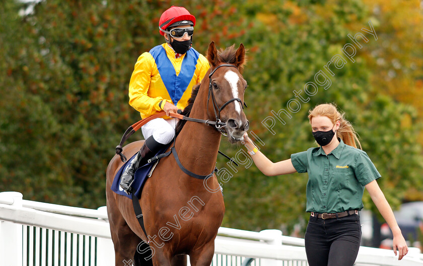 Quemonda-0001 
 QUEMONDA (Mohammed Tabti)
Lingfield 7 Sep 2020 - Pic Steven Cargill / Racingfotos.com