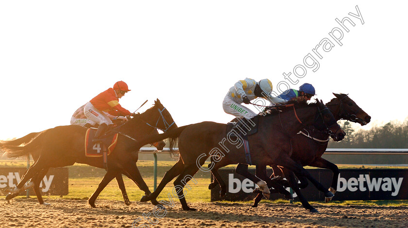 Galitello-0002 
 GALITELLO (farside, P J McDonald) beats MUNDERSFIELD (nearside) in The Betway Stayers Handicap
Lingfield 2 Feb 2019 - Pic Steven Cargill / Racingfotos.com