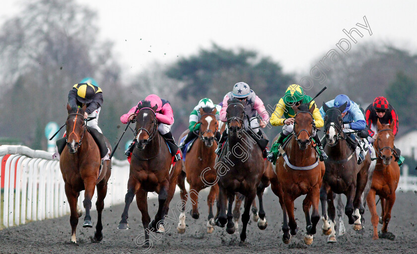 Kingstom-Kurrajong-0002 
 KINGSTON KURRAJONG (2nd left, Martin Harley) BALTIC PRINCE (2nd right) and LUNAR DEITY (left) in The Matchbook Betting Exchange Handicap Kempton 21 Mar 2018 - Pic Steven Cargill / Racingfotos.com