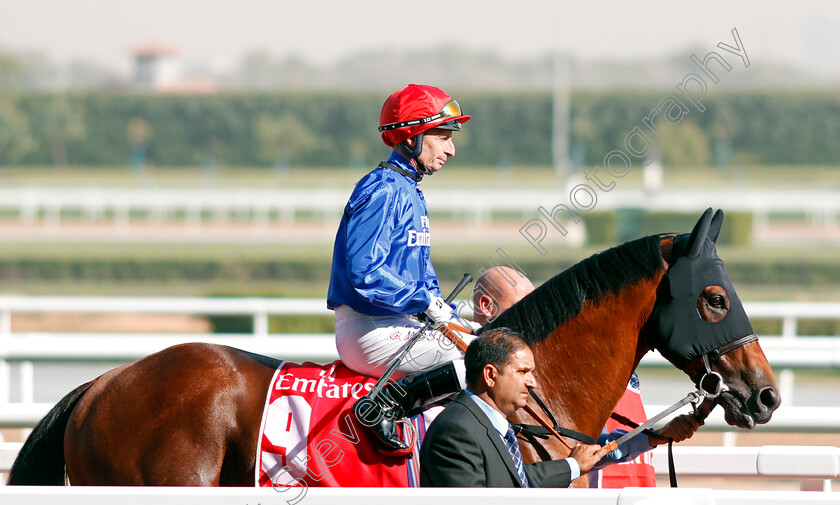 Racing-Country-0001 
 RACING COUNTRY (Gerald Mosse) Meydan 10 Mar 2018 - Pic Steven Cargill / Racingfotos.com