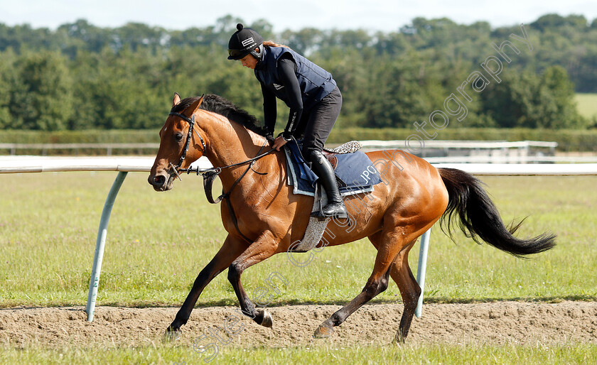 Bryony-Frost-0005 
 Bryony Frost preparing arabian horses for the DIAR at Newbury
Newmarket 28 Jun 2019 - Pic Steven Cargill / Racingfotos.com