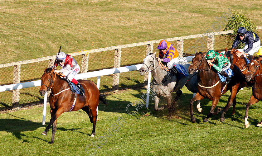 Beyond-Equal-0003 
 BEYOND EQUAL (Fran Berry) wins The Booker Ltd Handicap
Salisbury 3 Oct 2018 - Pic Steven Cargill / Racingfotos.com