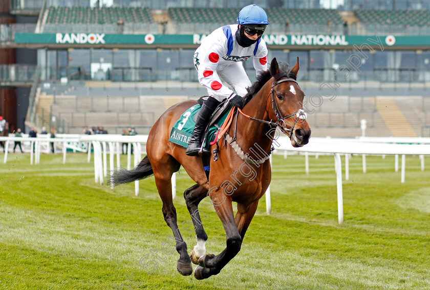 Hitman-0001 
 HITMAN (Harry Cobden)
Aintree 8 Apr 2021 - Pic Steven Cargill / Racingfotos.com