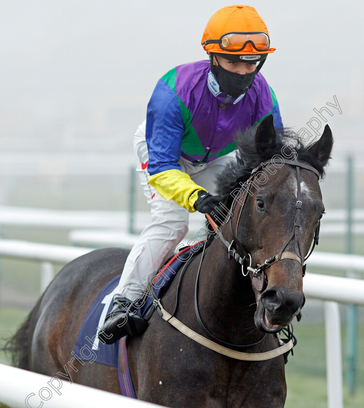 Imperium-Blue-0001 
 IMPERIUM BLUE (Faye McManoman)
Doncaster 7 Nov 2020 - Pic Steven Cargill / Racingfotos.com