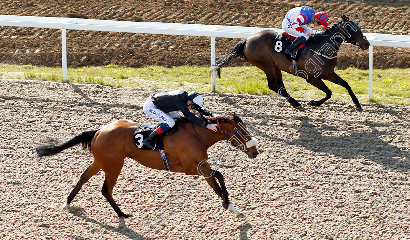 Hic-Bibi-0004 
 HIC BIBI (nearside, David Egan) beats HOLY TIBER (farside) in The Bet toteswinger At totesport.com Handicap
Chelmsford 11 Apr 2019 - Pic Steven Cargill / Racingfotos.com