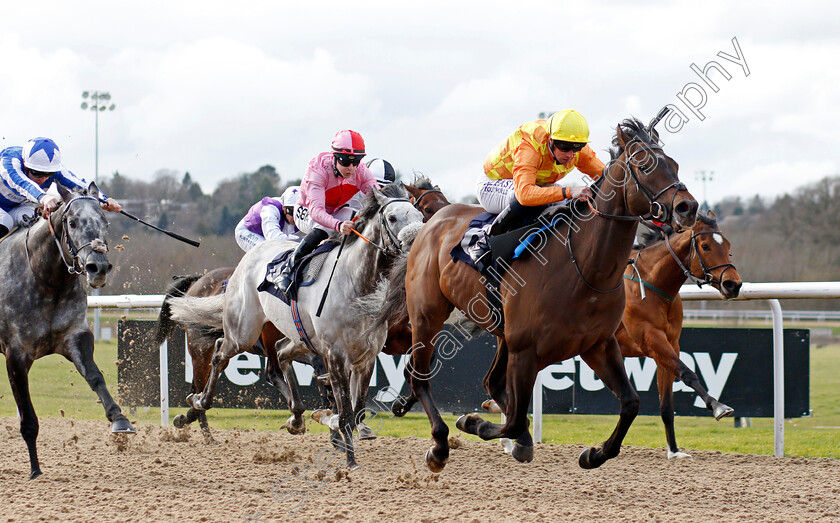 Tinker-Toy-0006 
 TINKER TOY (Jack Mitchell) wins The Mansionbet Lady Wulfruna Stakes
Wolverhampton 12 Mar 2022 - Pic Steven Cargill / Racingfotos.com